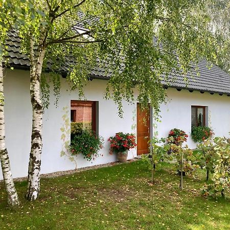 Winnica De Sas Krosnice Zewnętrze zdjęcie